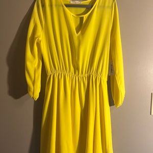 Womens Trendy Spring or Summer Dress